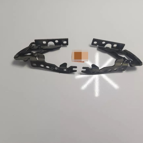 Par Braço  Dobradiça Capo Bmw X5 2003 2004 2005