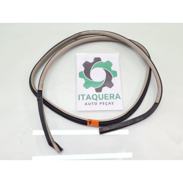 Borracha Porta Traseira Esquerda Ford Fusion Ano 2011 2012