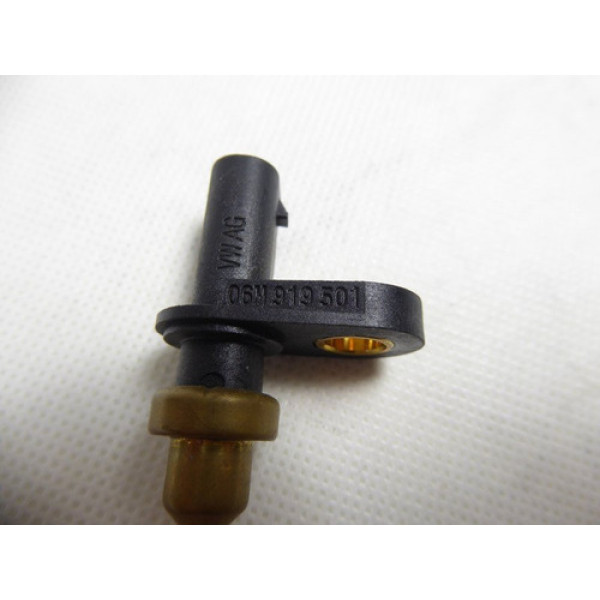 Sensor Temperatura Agua Cayenne Audi Q7 Q8  Nº 06m919501