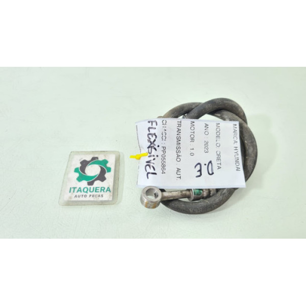 Flexivel Pinça Freio Dianteiro Esquerdo Hyundai Creta 2023